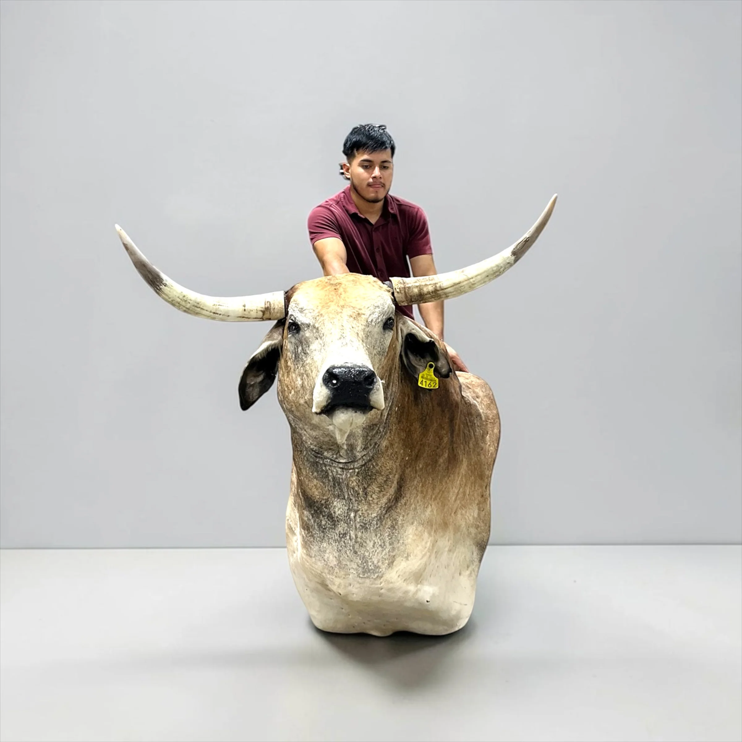 Taxidermy